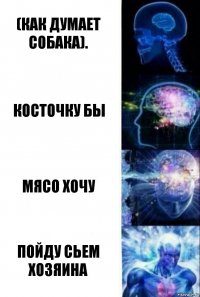 (Как думает собака). Косточку бы Мясо хочу Пойду сьем хозяина