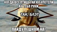 когда все птицы на юг улетели а у тебя руки пайду пешком на!