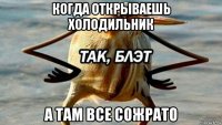 когда открываешь холодильник а там все сожрато