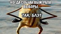 когда собчак выйграла выборы 