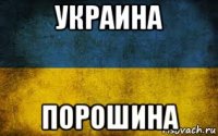 украина порошина