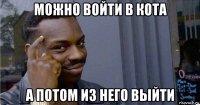 можно войти в кота а потом из него выйти