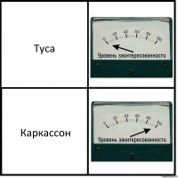 Туса Каркассон
