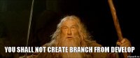 you shall not create branch from develop