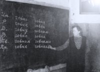 Detstvo Zradofila