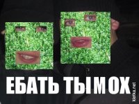 ЕБАТЬ ТЫ ЛОХ