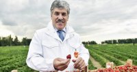 Грудинин