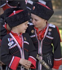 Казаки