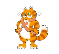 Кот самоуверенный
