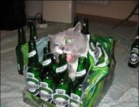 Вафля