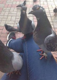 Зря ты мне разрешил