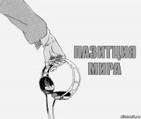 ПАЗИТЦИЯ МИРА