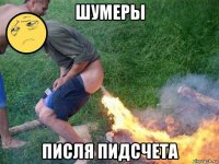 шумеры писля пидсчета
