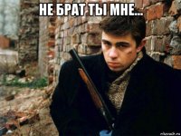 не брат ты мне... 