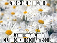 любимым желаю отличного дня и великолепного настроения