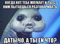 когда кот тебе мяукает и ты с ним пытаешься разговаривать датычо, а ты ей что?