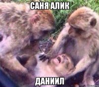 саня алик даниил