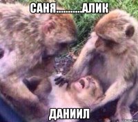 саня...........алик даниил
