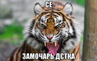 се замочарь дєтка