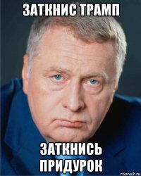 заткнис трамп заткнись придурок