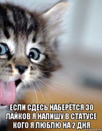  если сдесь наберётся 30 лайков я напишу в статусе кого я люблю на 2 дня