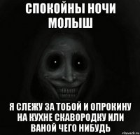 спокойны ночи молыш я слежу за тобой и опрокину на кухне скавородку или ваной чего нибудь