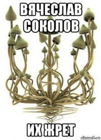 вячеслав соколов их жрет