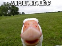 а крэш уже ушёл? 