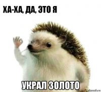  украл золото