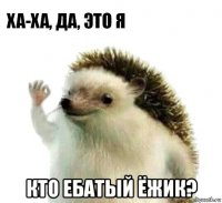  кто ебатый ёжик?