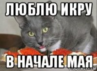 люблю икру в начале мая