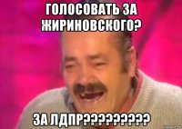 голосовать за жириновского? за лдпр?????????