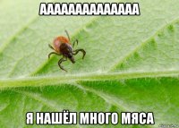 аааааааааааааа я нашёл много мяса