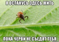 я останусь здесь жить пока черви не съедят тебя