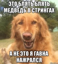 это блять блять медведь в стрингах а не это я гавна нажрался