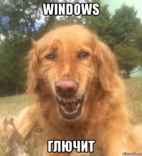 windows глючит