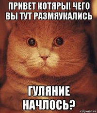 привет котяры! чего вы тут размяукались гуляние начлось?