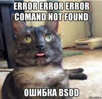 error error error comand not found ошибка bsod