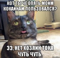 кот ты чё опять моим кокаинам пользовался? ээ, нет хозяин тока чуть чуть.