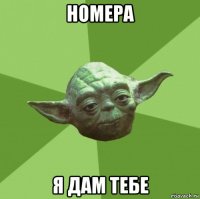 номера я дам тебе