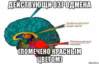 действующи озг одмена (помечено красным цветом)