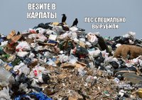 везите в карпаты лес специально вырубили