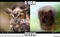 а нам похуй