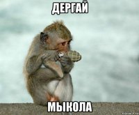 дергай мыкола