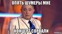 опять шумеры мне концерт сорвали