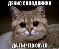 денис солодянкин да ты что охуел