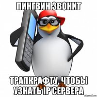 пингвин звонит трапкрафту, чтобы узнать ip сервера