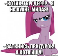 - котик, ты где??? - я на кухне, милая! - заткнись придурок! я кота ищу!