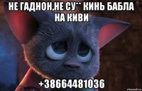 не гаднон,не су** кинь бабла на киви +38664481036