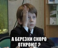  а березки скоро откроют ?